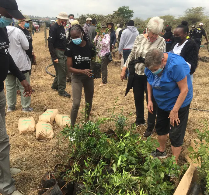 Tree planting at the Nairobi National Park